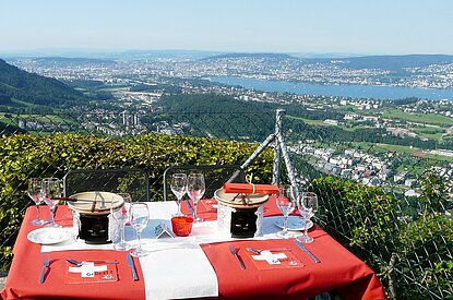 sightseeing tours in zurich switzerland