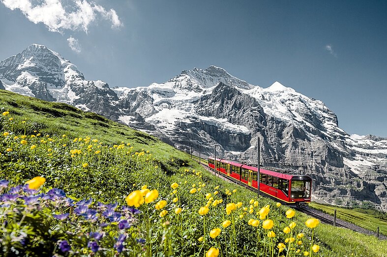 Swiss Tours