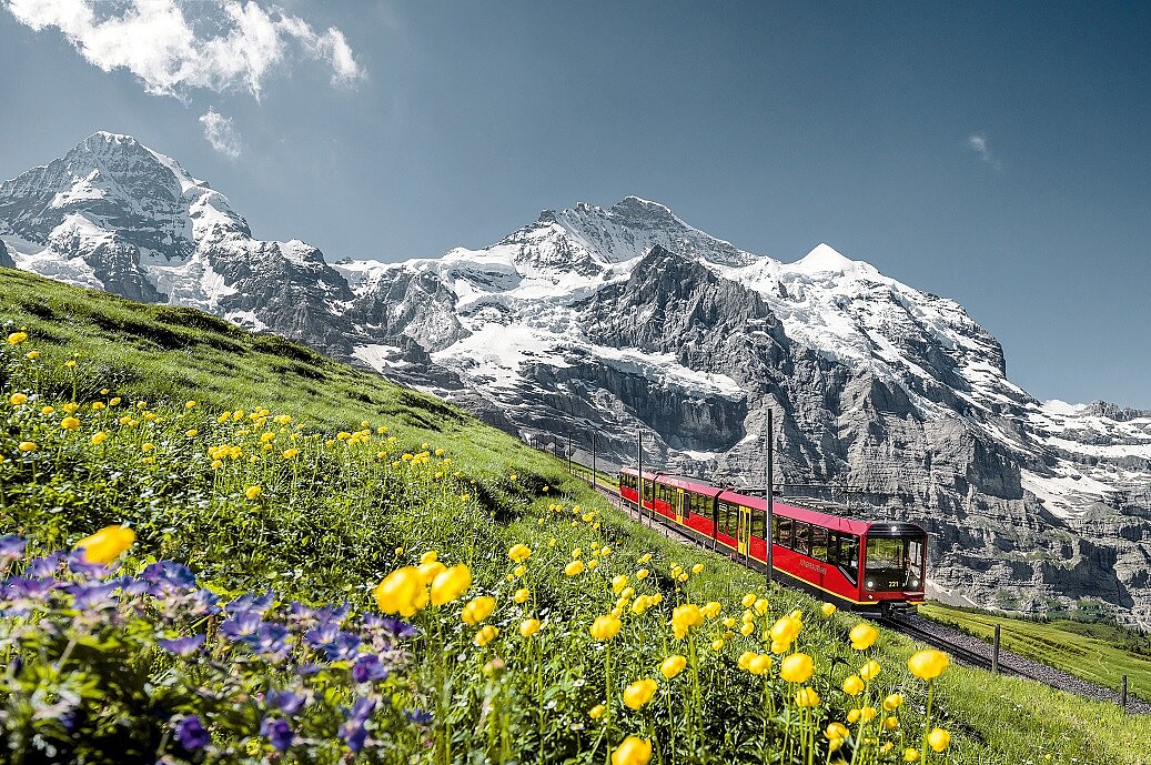 car tours jungfraujoch